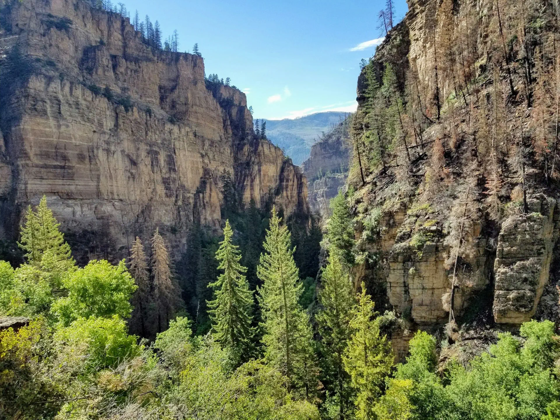 Glenwood Canyon, Colorado: sheer tan sandstone walls rising above green pines under a clear blue sky