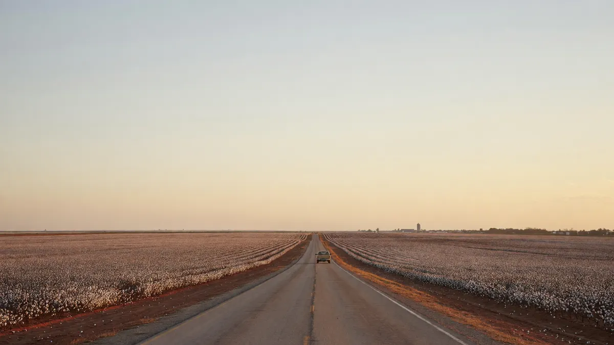 Straight two-lane road through cotton fields at sunrise, a pickup heading toward a grain elevator on the flat horizon