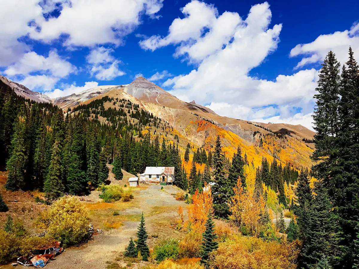 An old mining cabin in a clearing below a mountainside of gold aspen and green spruce, under blue sky and big white clouds