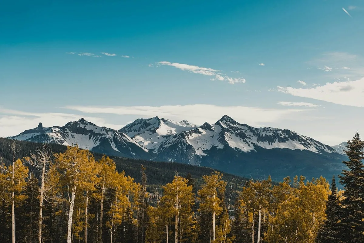 Snow on the Wilson Peak range above golden fall aspens near Telluride, Colorado